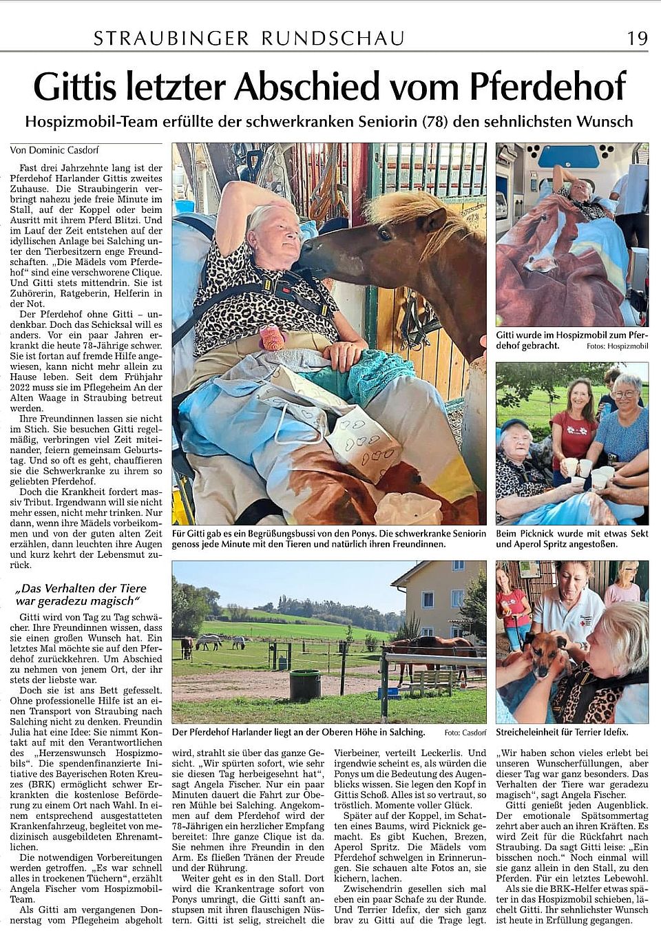 Zeitungsartikel zu Gittis Wunsch